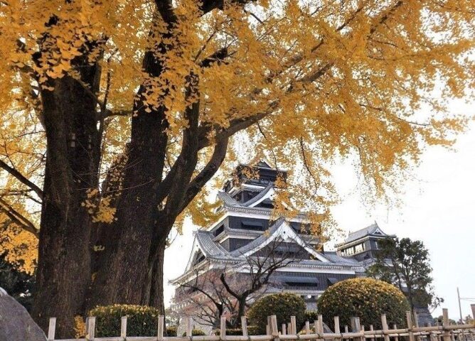 🍁【超值楓九州5日】高千穗峽、阿蘇老街、大觀峰、熊本城、柳川遊船、湯布院、菊池溪谷🏯 🍁【超值楓九州5日】高千穗峽、阿蘇老街、大觀峰、熊本城、柳川遊船、湯布院、菊池溪谷🏯